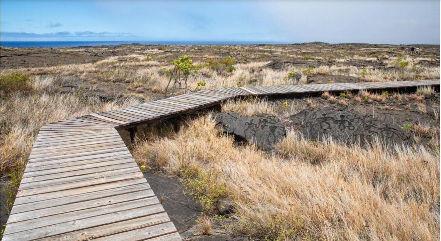 Volcano One - Modern Studio With Lanai Near Volcano National Park Экстерьер фото